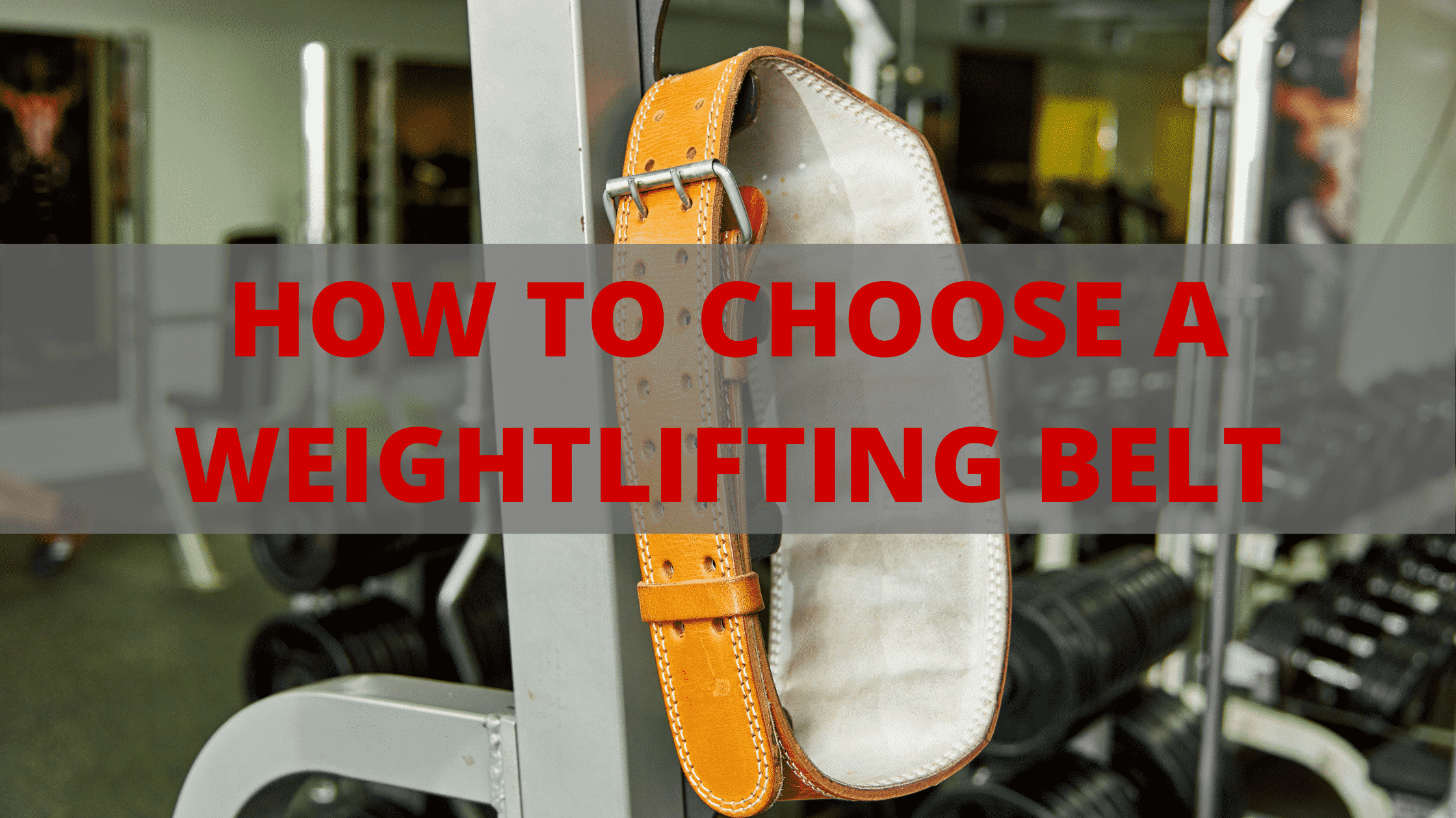 how to choose a weightlifting belt