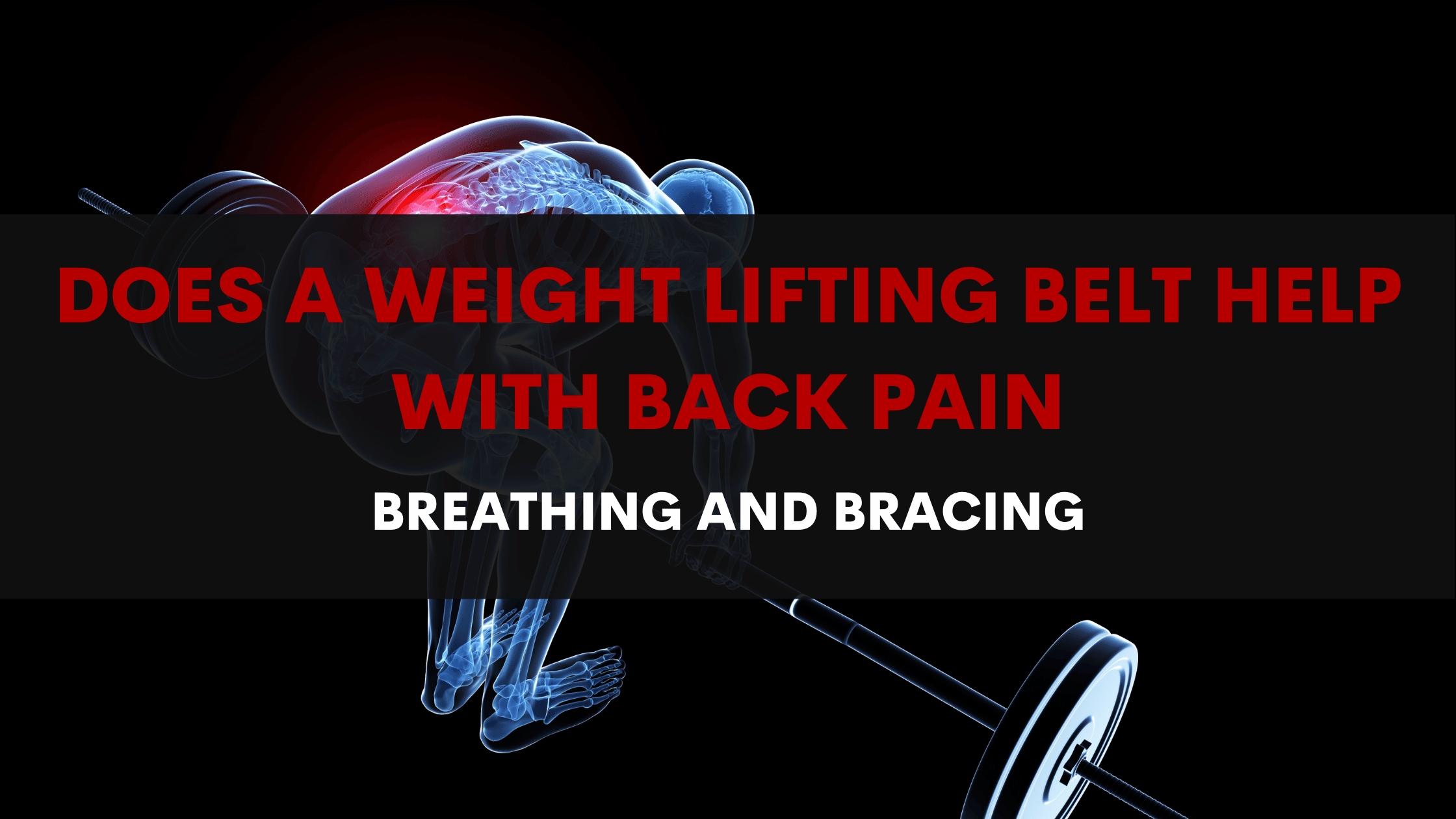 Does a Weight Lifting Belt Help with Back Pain? Muscle Lead