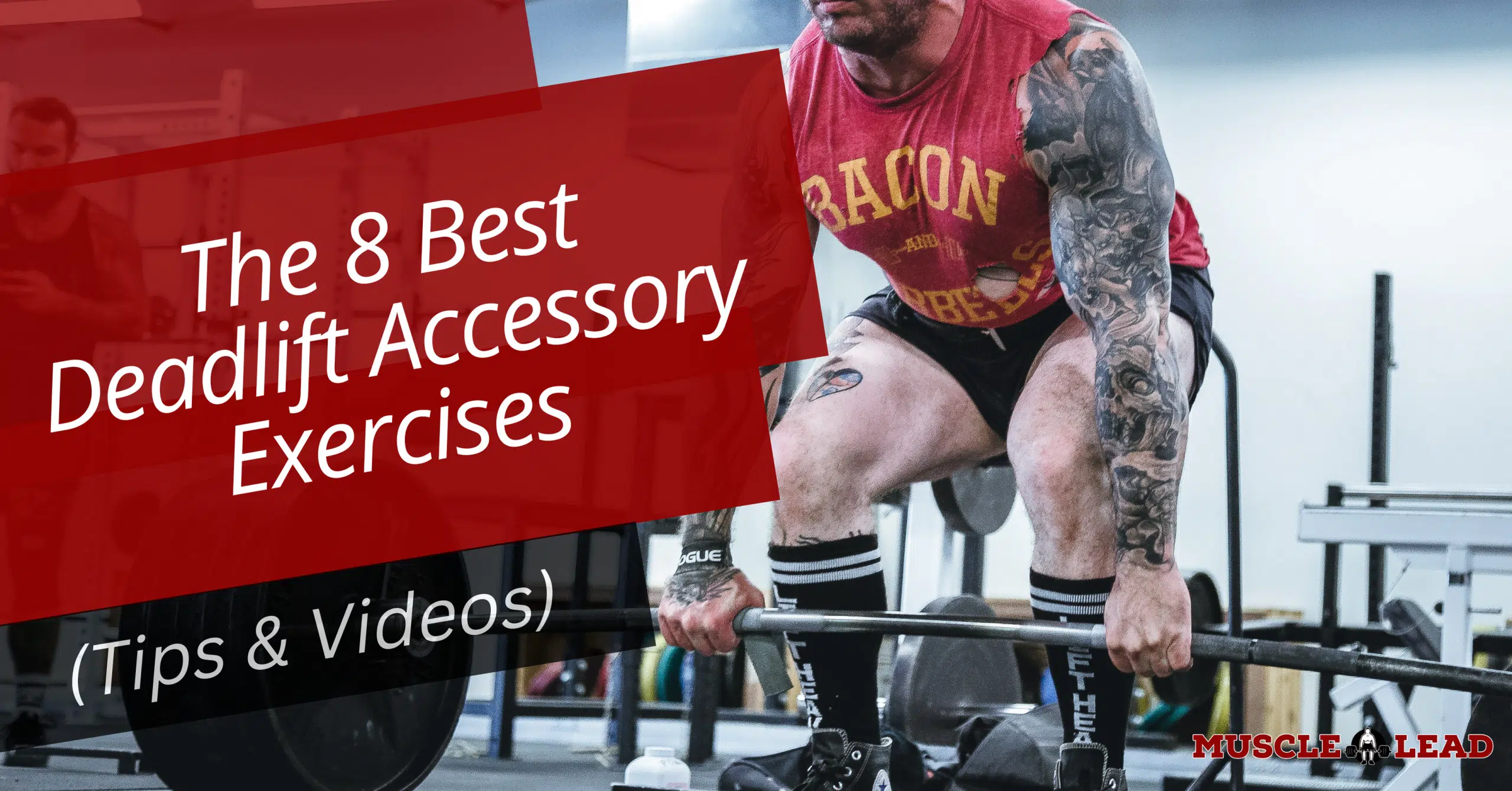 The 8 Best Deadlift Accessory Exercises (Tips & Videos)
