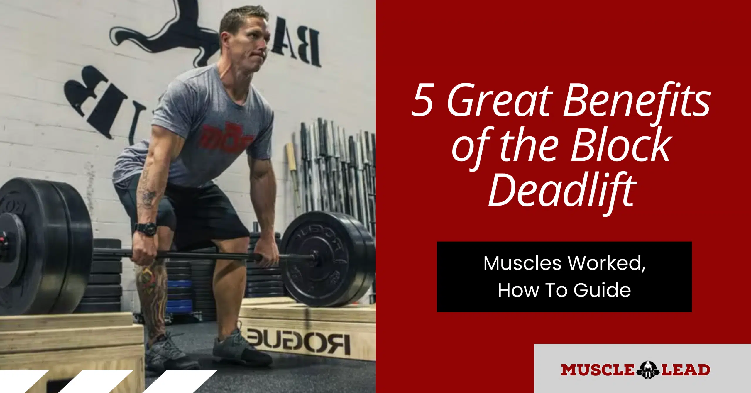 5 Great Benefits of the Block Deadlift Muscles Worked, How To Guide