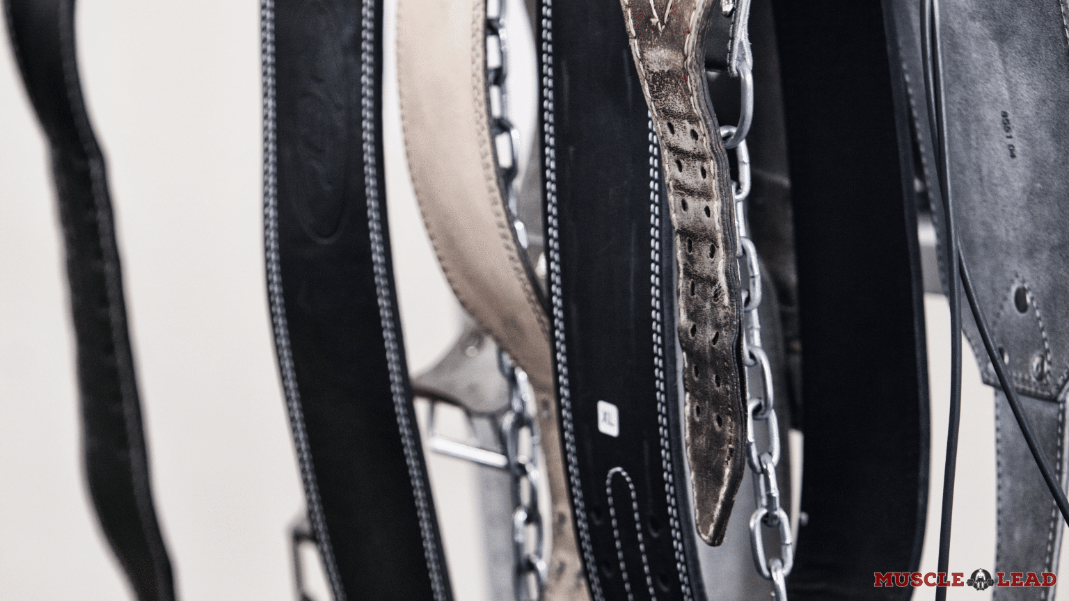 Lever Belt vs Prong Belt Which is Best for You? (6 Differences)