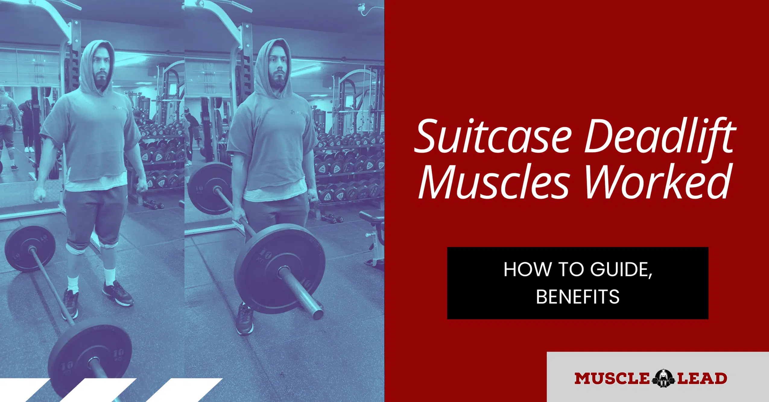 Suitcase Deadlift Muscles Worked How to Guide, Benefits