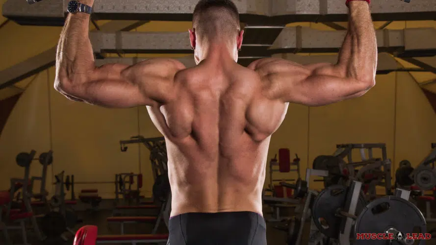 do deadlifts work the traps? The traps are upper back muscles