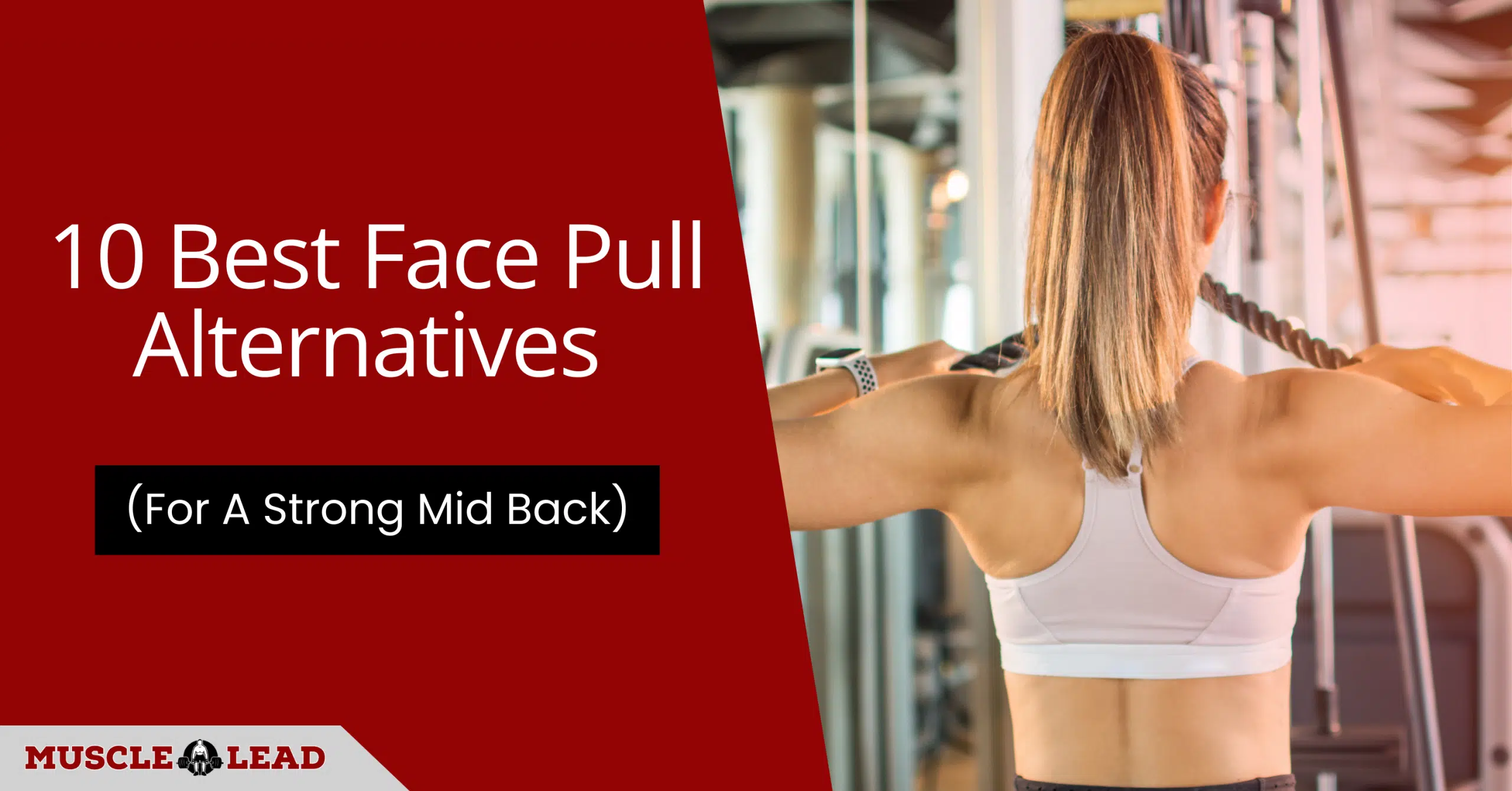 10 Best Face Pull Alternatives For A Strong Mid Back