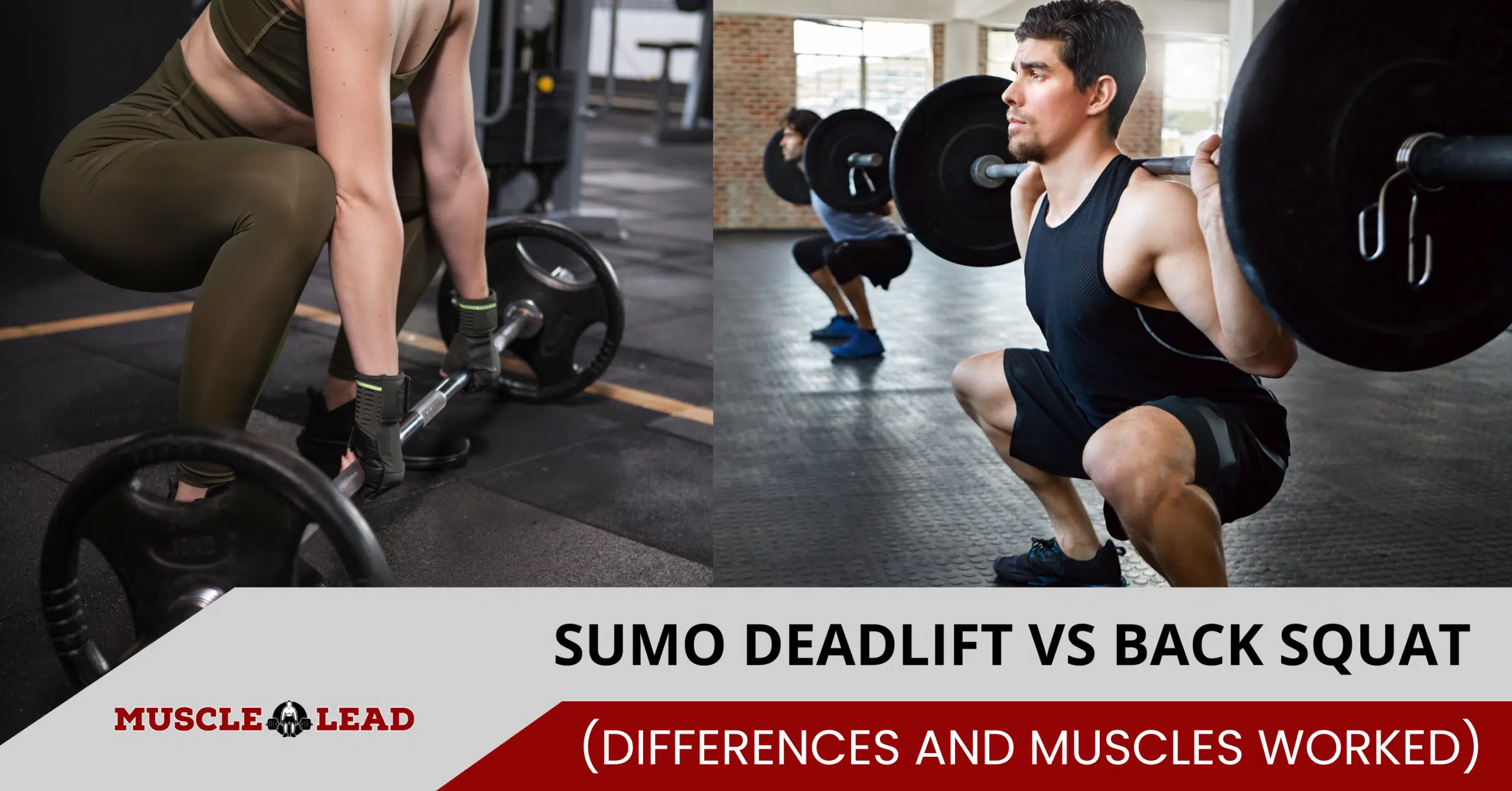 Sumo Deadlift vs Back Squat Differences and Muscles Worked