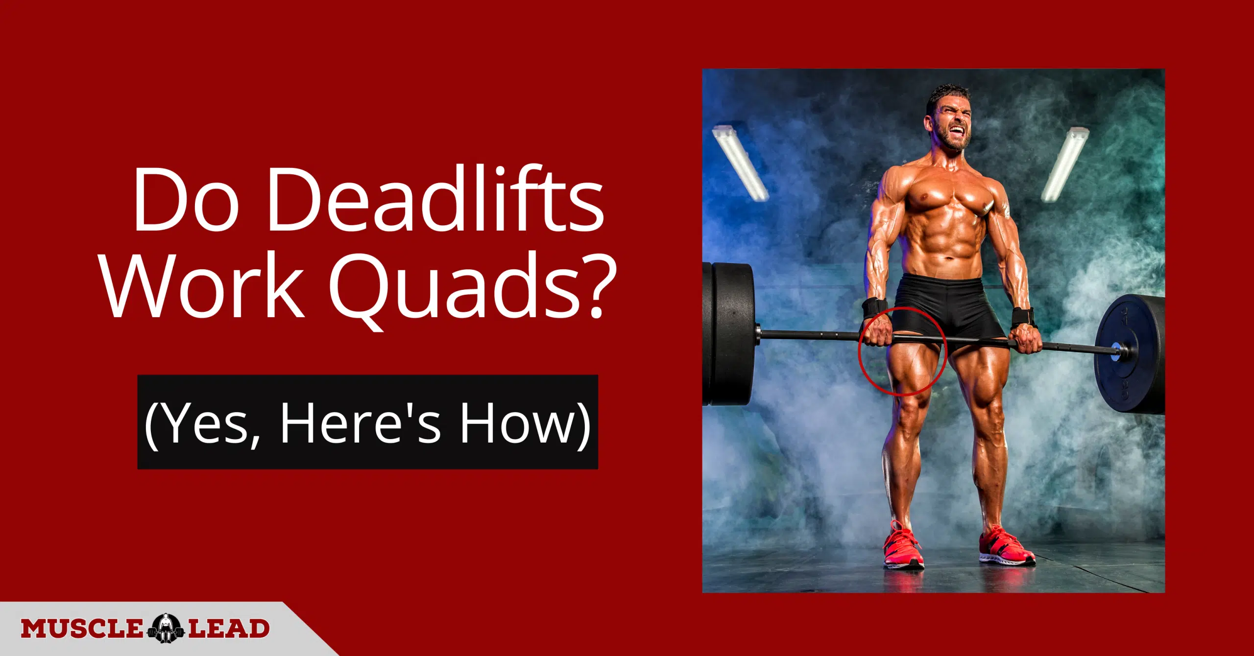 Do Deadlifts Work Quads (Yes, Here's How)